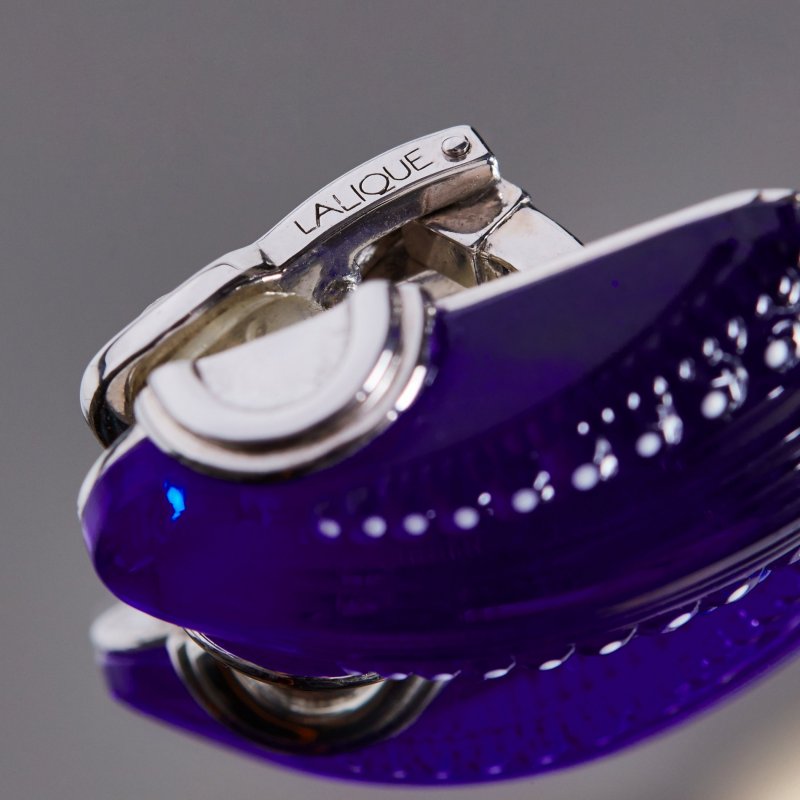 Клипсы Icone bleu