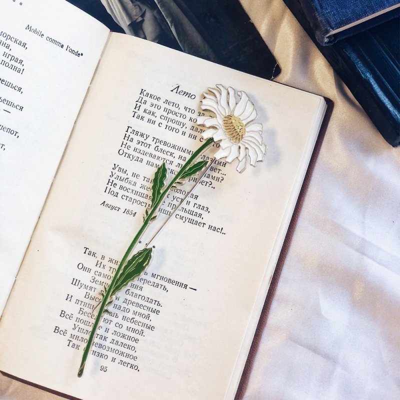 Серебряная Брошь «Ромашка»