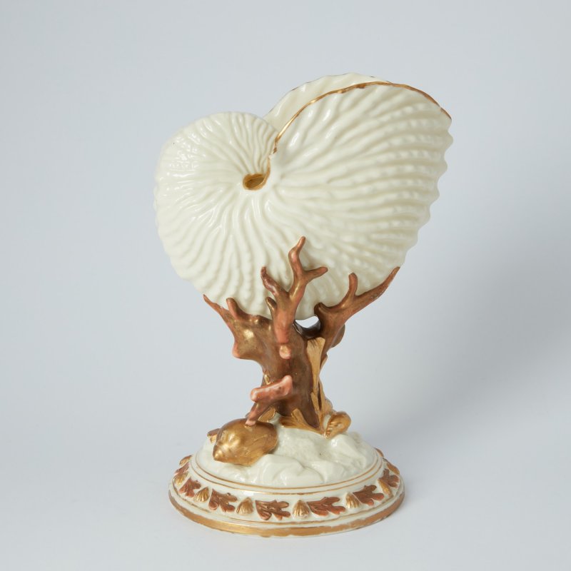 Ваза в форме раковины Nautilus