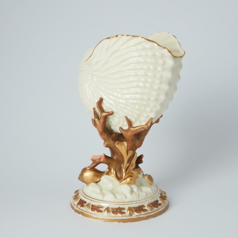 Ваза в форме раковины Nautilus