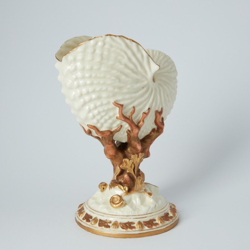 Ваза в форме раковины Nautilus