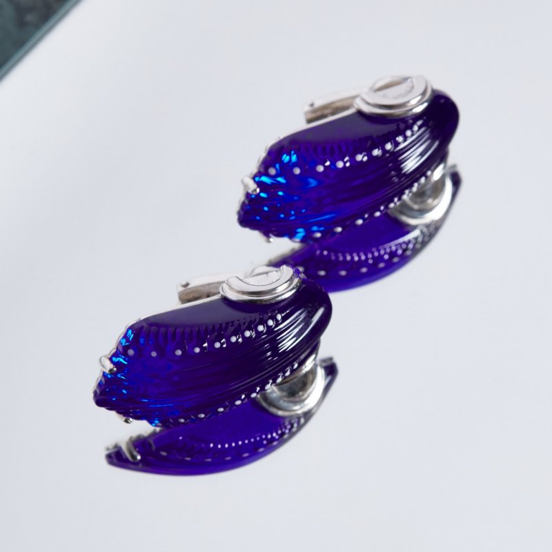 Клипсы Icone bleu