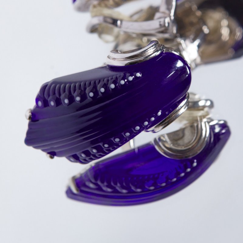 Клипсы Icone bleu