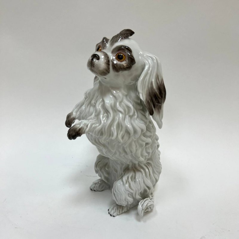 Фигурка собаки Болонка Meissen 1975 гг