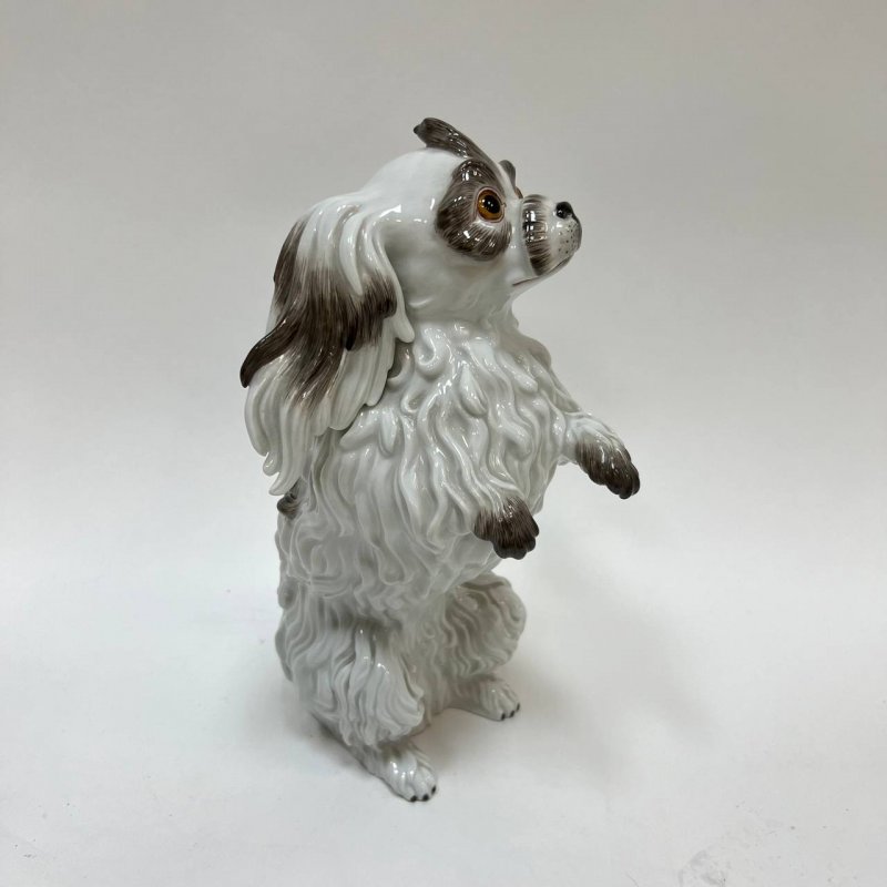 Фигурка собаки Болонка Meissen 1975 гг