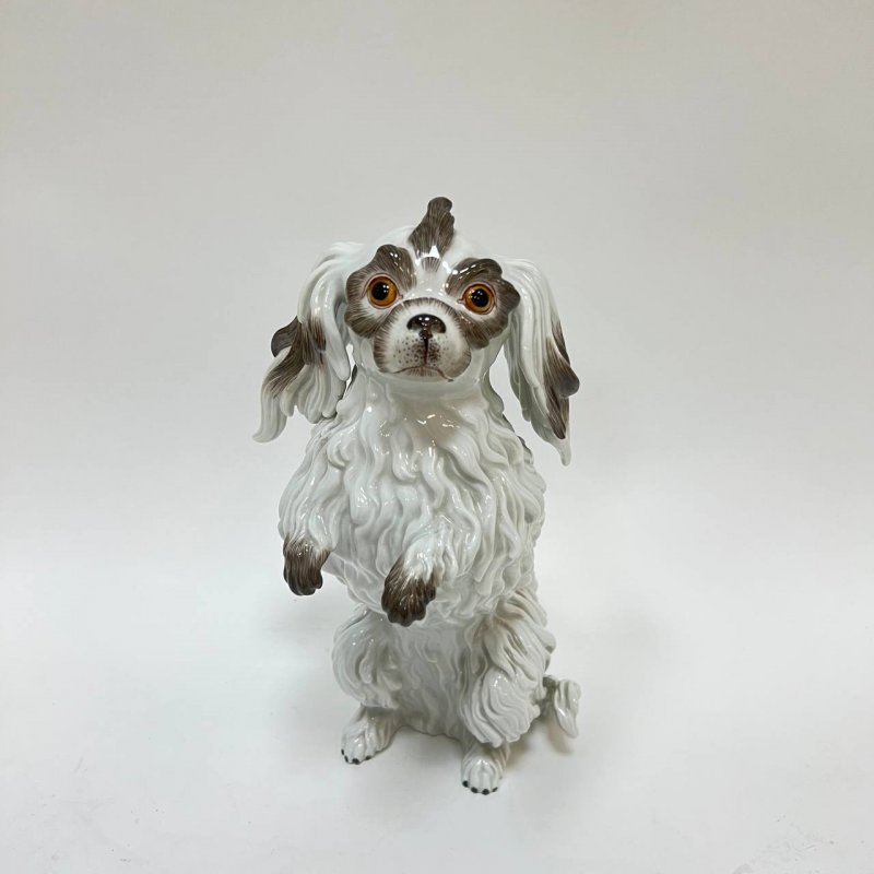 Фигурка собаки Болонка Meissen 1975 гг